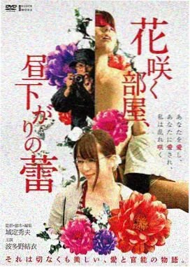 步履不停收藏榜海报